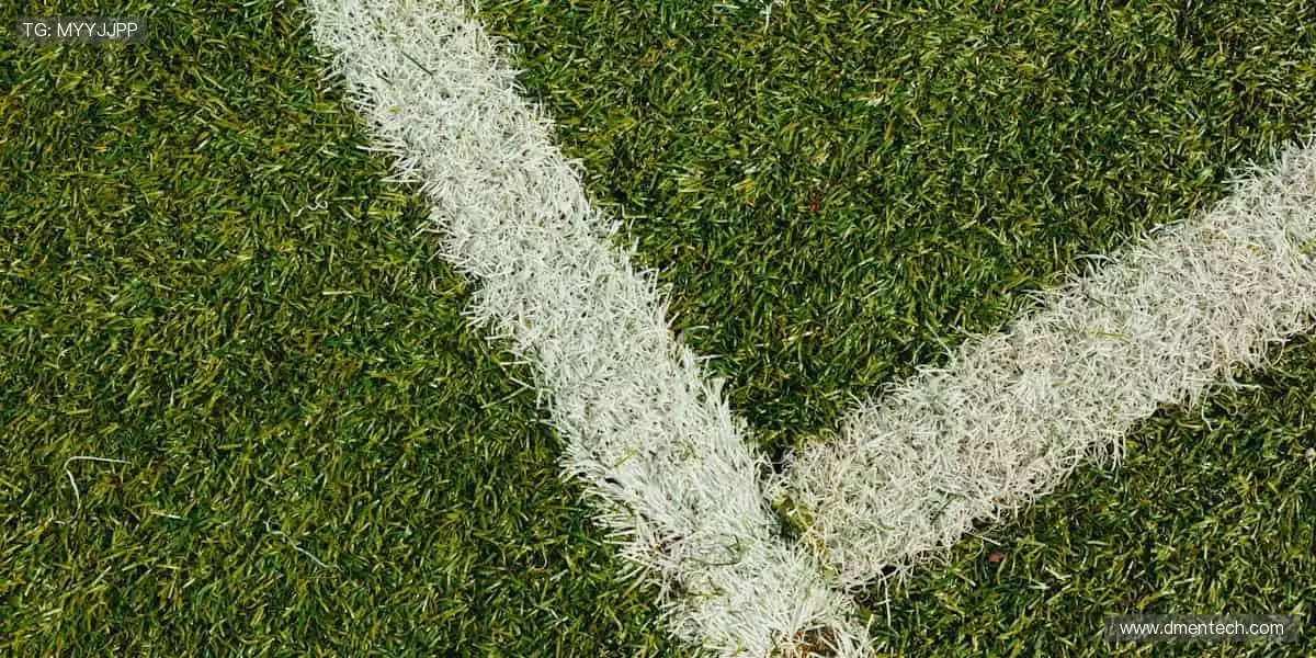 🏅 珍藏回忆,与偶像同行!🧢